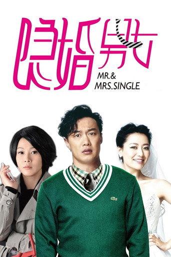 Mr. & Mrs. Single (2011) poster