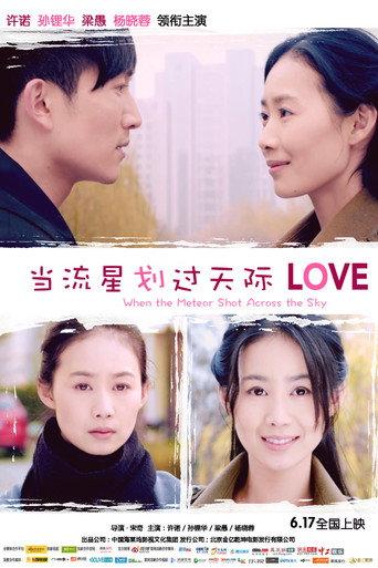当流星划过天际 (2016) poster