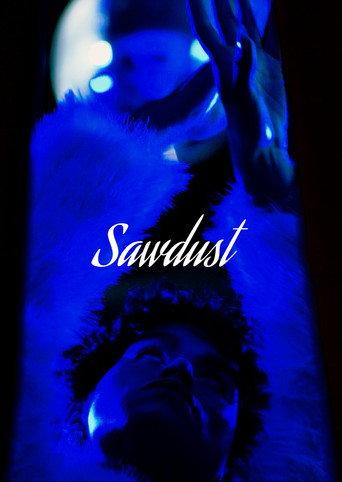 Sawdust () poster