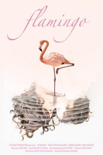 Flamingo () poster