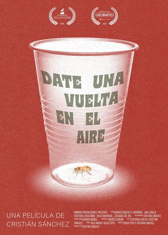 Take a Spin in the Air (2020) poster