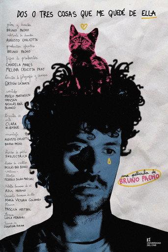 Two or three things I still have of hers (2026) poster