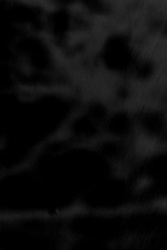 Black Trees (2026) poster