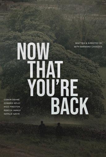 Now That You’re Back () poster