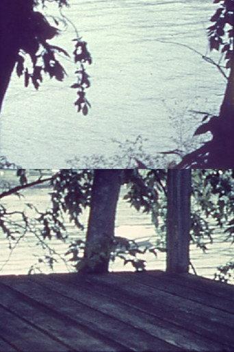 Silently, Bearing Totem of a Bird (1962) poster