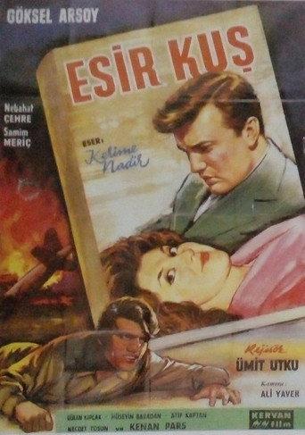Esir Kuş (1962) poster