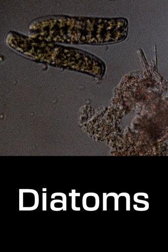 Diatoms (1968) poster