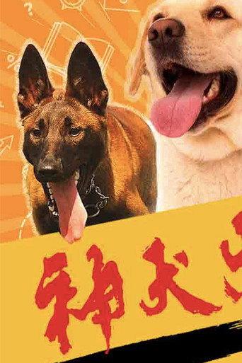 Dog Attack (2019) poster