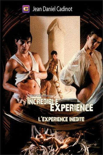 Incredible Experience (1993) poster