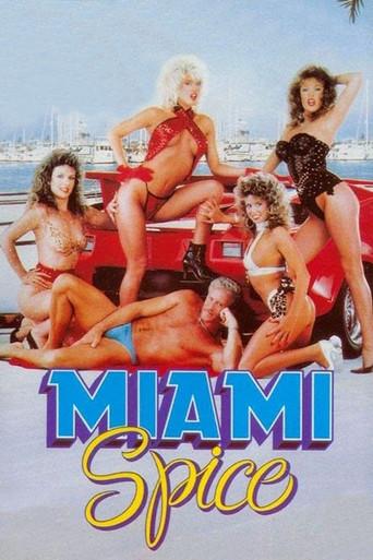 Miami Spice (1986) poster