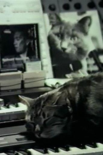 Cat Listening to Music (1988) poster