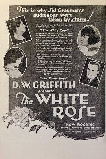 The White Rose (1923) poster