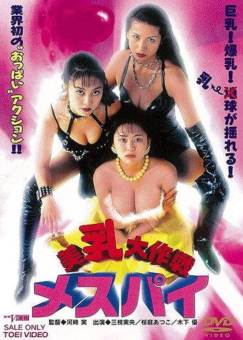 Operation Beautiful Breasts: Miss Spy (1997) poster