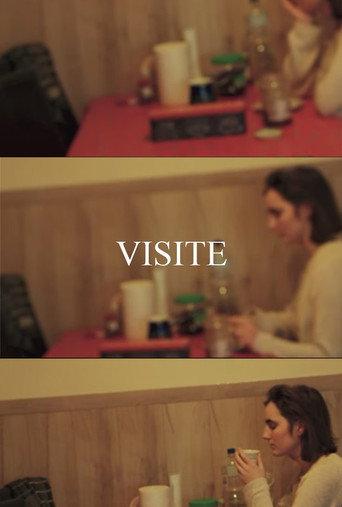 VISIT (2024) poster