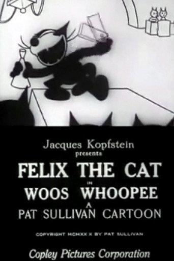 Woos Whoopee (1928) poster