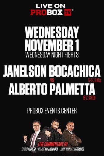Janelson Bocachica vs. Alberto Palmetta (2023) poster