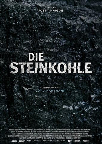 Die Steinkohle: II: Ende einer Ära (2018) poster