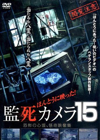 Paranormal Surveillance Camera 15 (2016) poster
