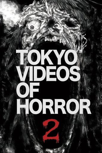 Tokyo Videos of Horror 2 (2012) poster