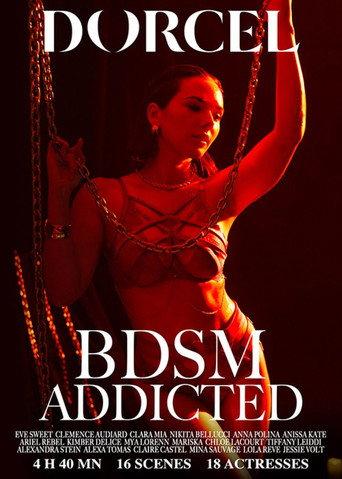BDSM Addicted (2026) poster