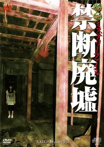 Bizarre Mystery File: Forbidden Ruins (2010) poster