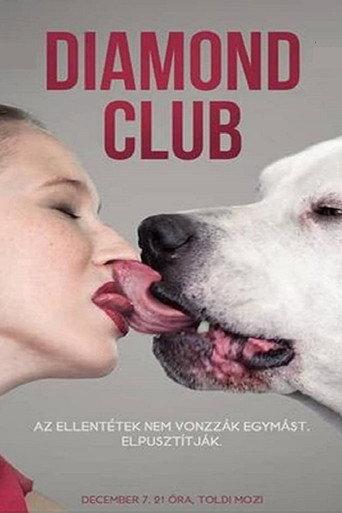 Diamond Club (2011) poster