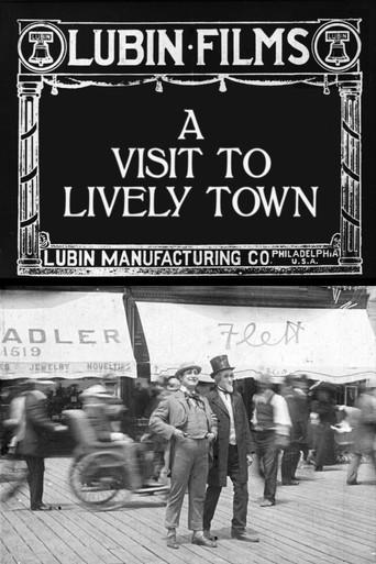 A Visit to Lively Town (1912) poster