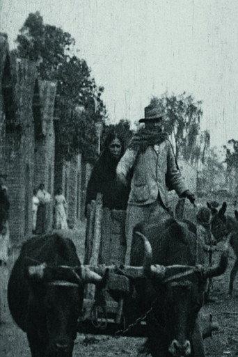 Plantation de sucre en Argentine (1909) poster