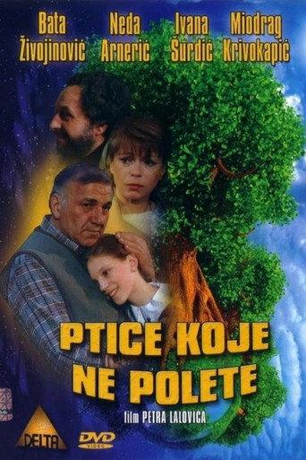 Some Birds Can't Fly (1997) poster