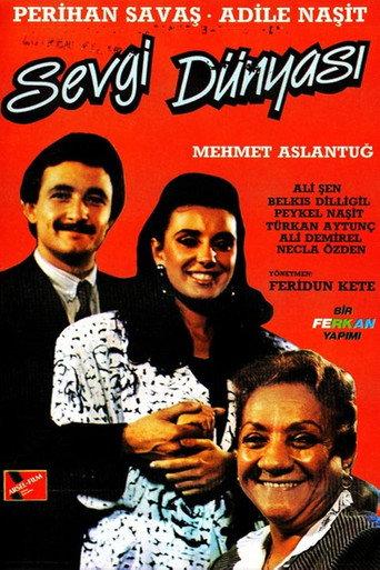 Sevgi Dünyası (1987) poster