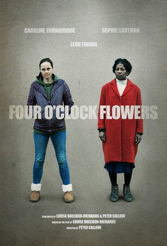 Four O'Clock Flowers () poster