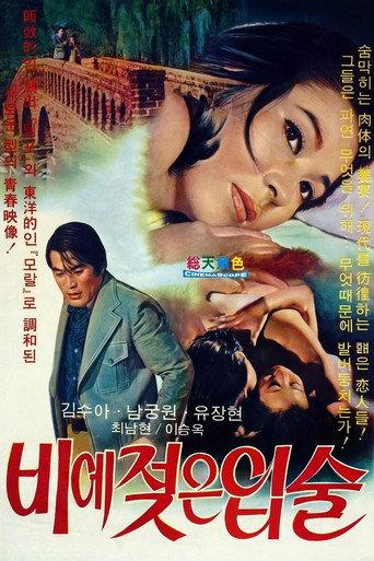 Wet Lips in the Rain (1974) poster