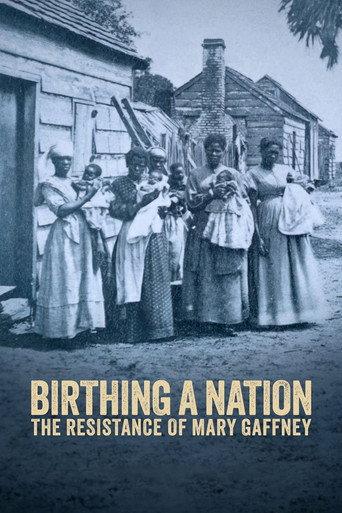 Birthing a Nation: The Resistance of Mary Gaffney (2023) poster