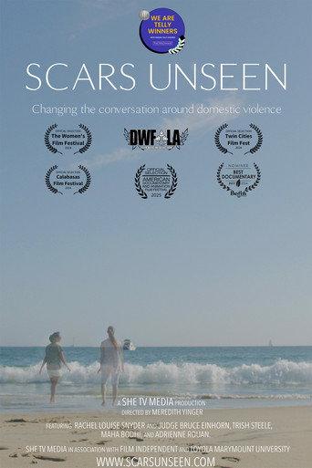 Scars Unseen (2024) poster