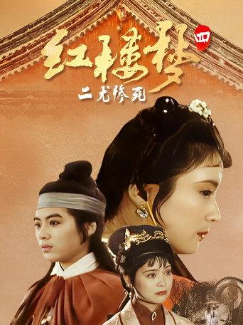 红楼梦第四部：二尤惨死 (1989) poster