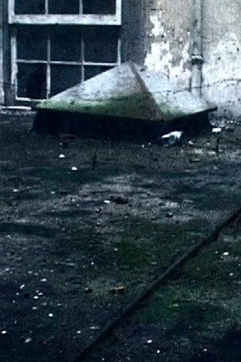 Remains (2002) poster