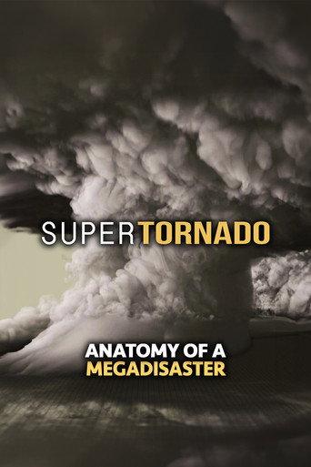 SuperTornado: Anatomy of a MegaDisaster (2015) poster