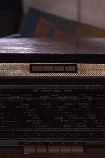 Radio (2013) poster
