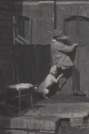 The Tramp and the Dog (1896) poster