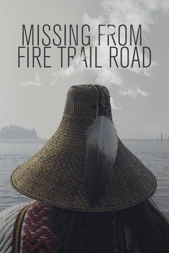 Missing from Fire Trail Road (2024) poster