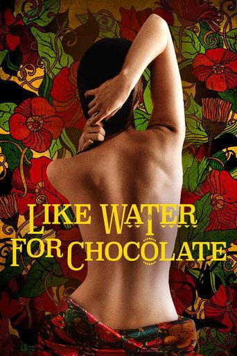 Like Water for Chocolate (1992) poster