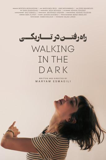 Walking in the Dark () poster