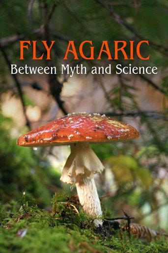 The Fly Agaric (2026) poster