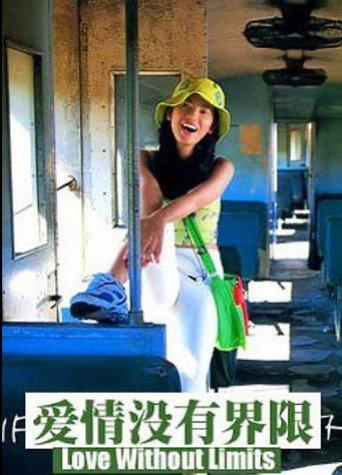 Love Without Limits (2004) poster