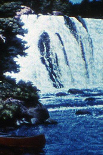 Sky Blue Water Light Sign (1972) poster