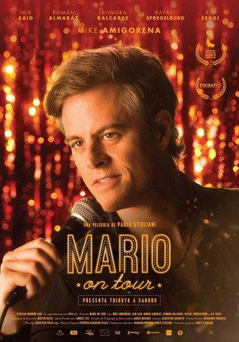 Mario on Tour (2017) poster