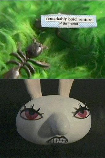 Remarkably Bold Venture of the Rabbit (2000) poster