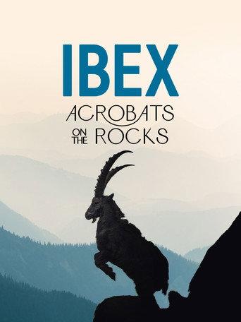 Ibex: Acrobats on the Rocks () poster