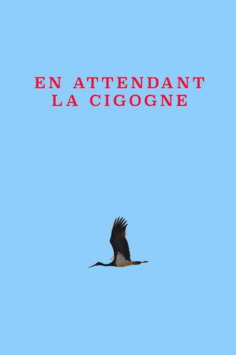 Waiting For The Stork (1997) poster