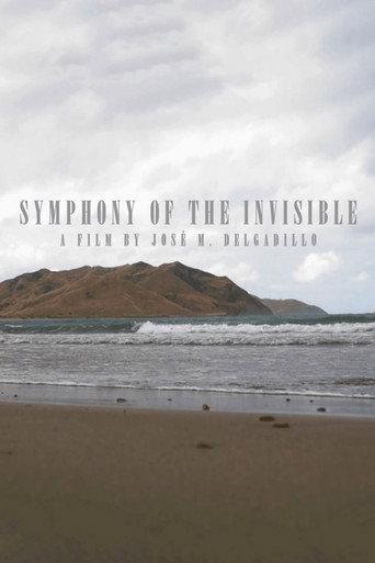 Symphony Of The Invisible (2020) poster